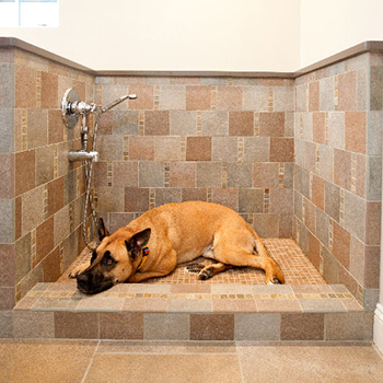 Cobblestone Dog Bath