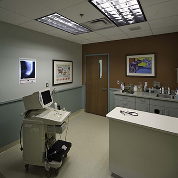 Washtenaw Vet Room