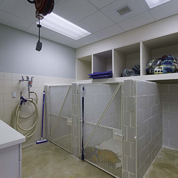 Washtenaw Vet Kennels